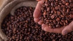  آغاز ثبت سفارش واردات موز و قهوه از هفته آینده 