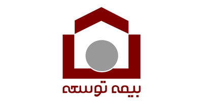 بیمه ایران بر استمرار ارایه خدمات به زیان دیدگان بیمه توسعه تاکید کرد