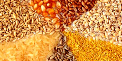 قیمت‌گذاری دستوری فروش نهاده‌های دامی منجر به کاهش واردات می‌شود