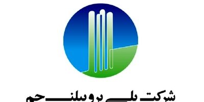 سرپرست شرکت جم پیلن معرفی شد