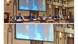 چراغ سبز بیمه سامان برای ارائه خدمات بیشتر به تجار ایرانی و عراقی
