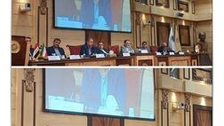 چراغ سبز بیمه سامان برای ارائه خدمات بیشتر به تجار ایرانی و عراقی
