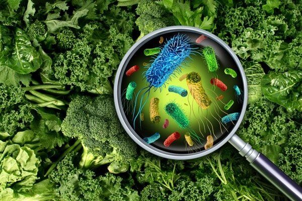 چرا مسموم میشویم؟