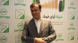 صنعت بیمه در بخش تولید یا سرمایه گذاری موفقیت چندانی نداشته است