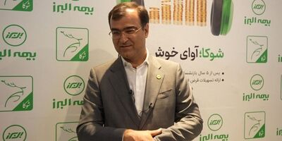 صنعت بیمه در بخش تولید یا سرمایه گذاری موفقیت چندانی نداشته است