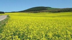 جوی آرام و آسمانی صاف در اغلب نقاط کشور/ هوا گرم‌تر می‌شود
