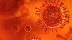 کدام افراد 5 برابر بیشتر به زیرسویه جدید کرونا مبتلا می‌شوند؟