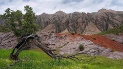 مهراب کوه ثبت ملی شد 
