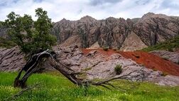 مهراب کوه ثبت ملی شد 

