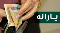 اختصاص ۳۱۵ هزار میلیارد تومان برای پرداخت یارانه نقدی و معیشتی در سال آینده
