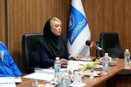 شرکت های لیزینگ برای جذابیت در بازار چاره ای جز دیجیتالی کردن خدمات ندارند+ فیلم