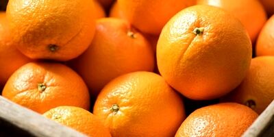 میوه‌ای با هزار و یک خاصیت که قند خون را هم کاهش می‌دهد
