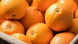 میوه‌ای با هزار و یک خاصیت که قند خون را هم کاهش می‌دهد
