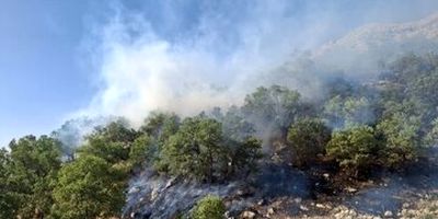 آتش‌سوزی دره ارغوان ایلام مهار شد
