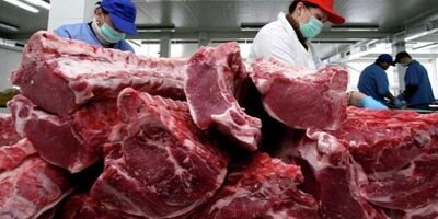قیمت گوشت  نوسان چندانی نداشته است