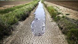 92.5 درصد آب ایران در کشاورزی فرو می‌رود
