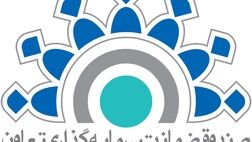 صندوق ضمانت سرمایه گذاری تعاون برای ٧٠ نفر در کهگیلویه و بویراحمد اشتغال‌زایی کرد