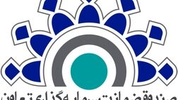 صندوق ضمانت سرمایه گذاری تعاون برای ٧٠ نفر در کهگیلویه و بویراحمد اشتغال‌زایی کرد
