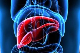 الکل چگونه به کبد آسیب می‌زند؟
