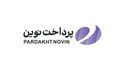 "پرداخت نوین آرین" کارنامه شش ماه خود را به رخ رقبا کشید+جدول