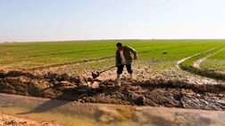 موافقت دولت با استمهال بازپرداخت وام کشاورزان خسارت دیده

