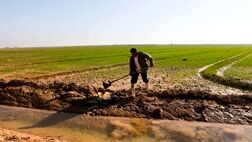 موافقت دولت با استمهال بازپرداخت وام کشاورزان خسارت دیده
