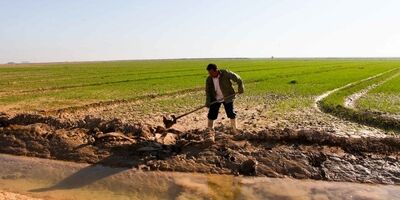 موافقت دولت با استمهال بازپرداخت وام کشاورزان خسارت دیده
