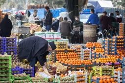 توزیع میوه شب عید در تهران آغاز شد