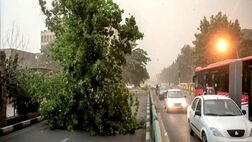 مرگ ۹ نفر و مصدومیت ۸۶ نفر در طوفان‌های اخیر
