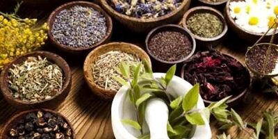 عوارض مصرف خودسرانه گیاهان دارویی