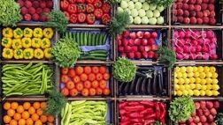 صادرات ۱۵ محصول کشاورزی رفع ممنوعیت شد
