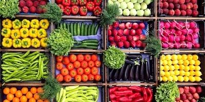 محدودیت‌های صادراتی محصولات کشاورزی مطلق نیست 