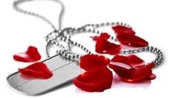 وعده نوبخت برای حل مشکلات درمانی ایثارگران تا دو هفته آینده