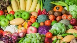 علت افزایش قیمت برخی از محصولات کشاورزی سردی هوا است