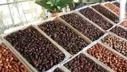 تولید خرما به یک‌میلیون و ۲۵۰ هزار تن‌می رسد
