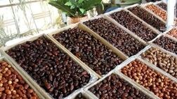 تولید خرما به یک‌میلیون و ۲۵۰ هزار تن‌می رسد
