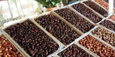 قیمت خرما برای ماه مبارک رمضان اعلام شد