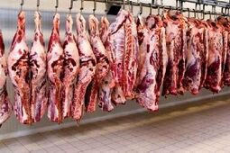 طرح تشدید نظارت‌های بهداشتی ایام نوروز و ماه رمضان آغاز شد