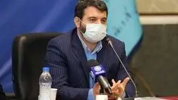 یک ریال از محل واقعی سازی ارز برای دولت نیست
