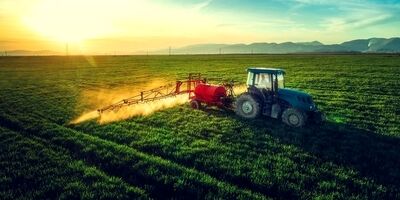 طرح الگوی کشت بیش از 10 سال‌ روی میز دولتی‌ها جا خوش کرد!