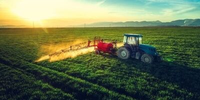 طرح الگوی کشت بیش از 10 سال‌ روی میز دولتی‌ها جا خوش کرد!