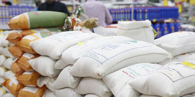 عرضه گسترده برنج و روغن با قیمت دولتی