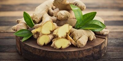 زنجبیل، درمانگر طبیعی دردها