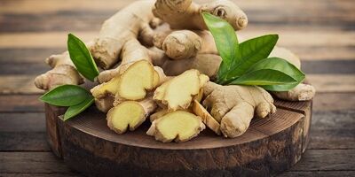 زنجبیل، درمانگر طبیعی دردها