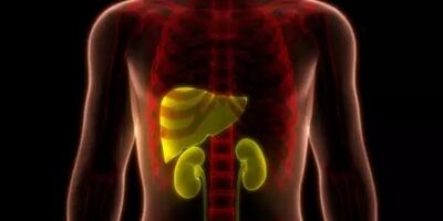 معجون‌هایی برای سم‌زدایی کبد و کلیه
