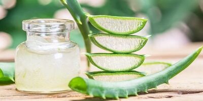 فواید دارویی آلوئه ورا چیست؟