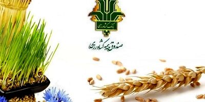 صندوق بیمه کشاورزی استان زنجان زیان‌ده است/ ۳۰درصد غرامت کشاورزان از محل بیمه محصولات کشاورزی پرداخت می‌شود