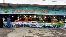 عرضه مستقیم سیب و پرتقال شب عید با قیمت مصوب
