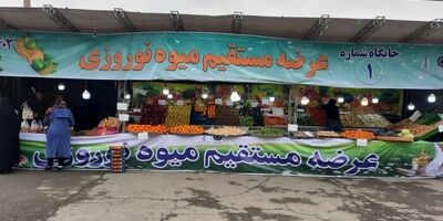 عرضه مستقیم سیب و پرتقال شب عید با قیمت مصوب
