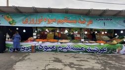عرضه مستقیم سیب و پرتقال شب عید با قیمت مصوب
